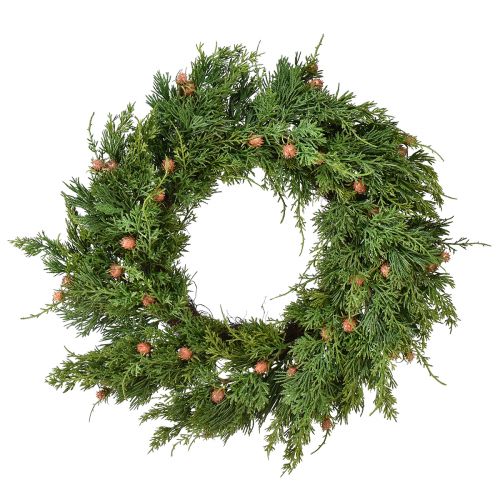 Floristik24 Ghirlanda di abete Thuja con corona di vite base boccioli Ø50cm