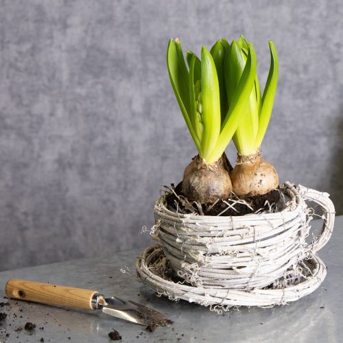 Prodotto Tazza da tè in materiale naturale dal fascino rustico per una decorazione d'interni esclusiva 13cm