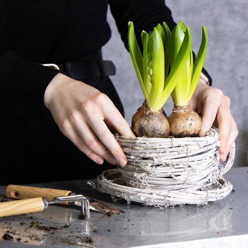 Prodotto Tazza da tè in materiale naturale dal fascino rustico per una decorazione d'interni esclusiva 13cm