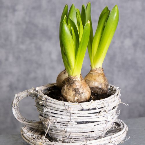 Prodotto Tazza da tè in materiale naturale dal fascino rustico per una decorazione d'interni esclusiva 13cm