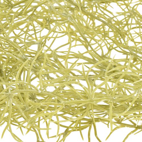 Prodotto Tillandsia decorativa da appendere Tillandsia artificiale verde bianco 180 cm