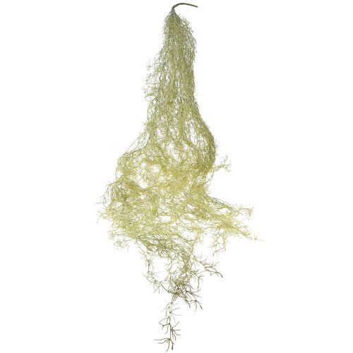 Prodotto Tillandsia decorativa da appendere Tillandsia artificiale verde bianco 180 cm