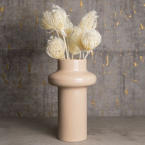 Prodotto Fiori secchi crema di finocchio sbiancato 45cm mazzo 10 pezzi