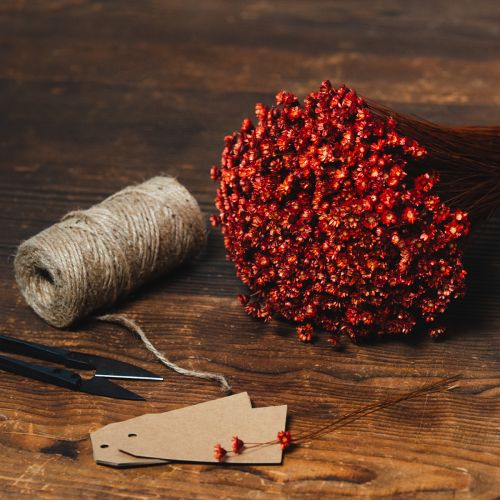 Prodotto Bouquet di fiori secchi, un'aggiunta affascinante a vasi o composizioni, 44 cm