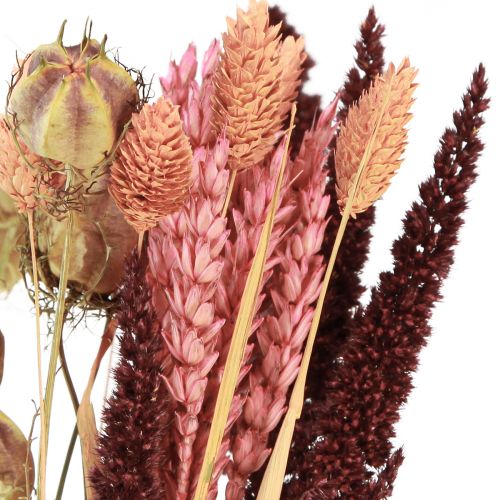 Floristik24 Mazzo di fiori secchi grani Nigella rosa arancio 50 cm