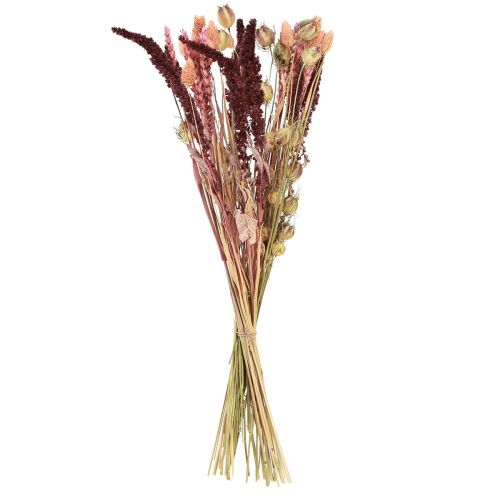 Floristik24 Mazzo di fiori secchi grani Nigella rosa arancio 50 cm