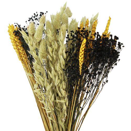 Floristik24 Bouquet di fiori secchi bouquet di cereali secchi giallo blu 50 cm