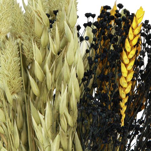 Floristik24 Bouquet di fiori secchi bouquet di cereali secchi giallo blu 50 cm