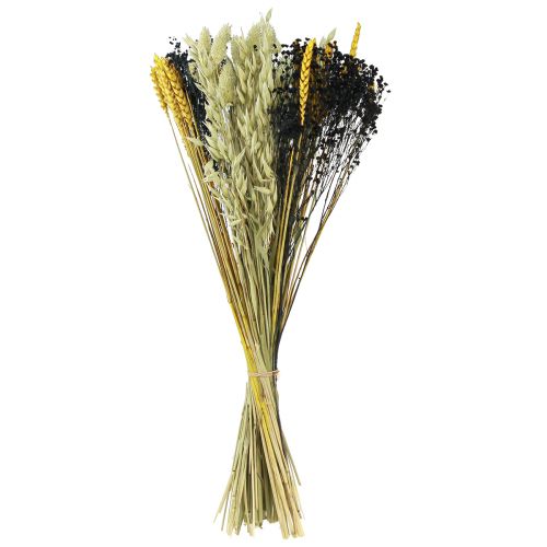 Floristik24 Bouquet di fiori secchi bouquet di cereali secchi giallo blu 50 cm