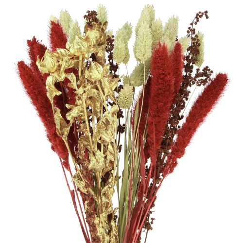 Floristik24 Bouquet di fiori secchi bouquet di grani secchi rosso oro 50 cm