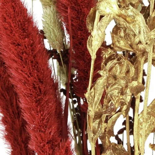 Floristik24 Bouquet di fiori secchi bouquet di grani secchi rosso oro 50 cm