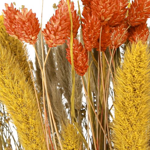 Floristik24 Bouquet di fiori secchi con chicchi di colore giallo arancio 50cm