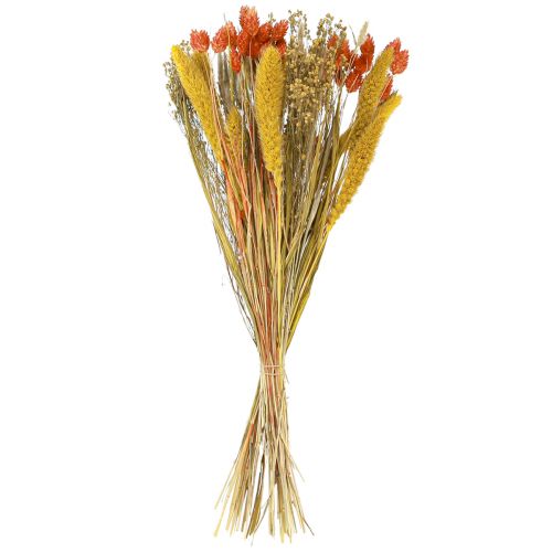 Floristik24 Bouquet di fiori secchi con chicchi di colore giallo arancio 50cm