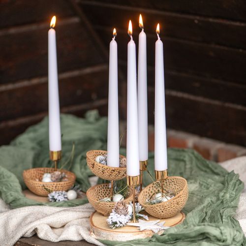 Floristik24 Coppa Campana di Frutta Secca Decorazione Naturale per Lutto 8,5-11 cm 10 pz