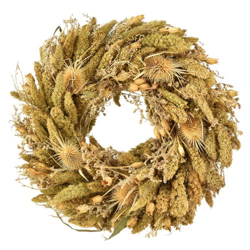 Floristik24 Ghirlanda secca di cardi miglio giallo verde oliva Ø28cm