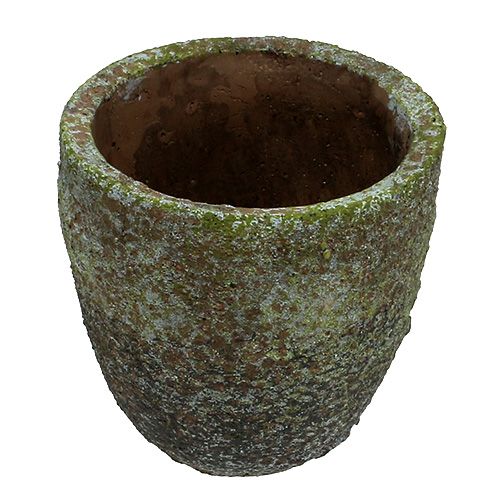Floristik24 Fioriera con muschio Ø16cm H16cm 1p