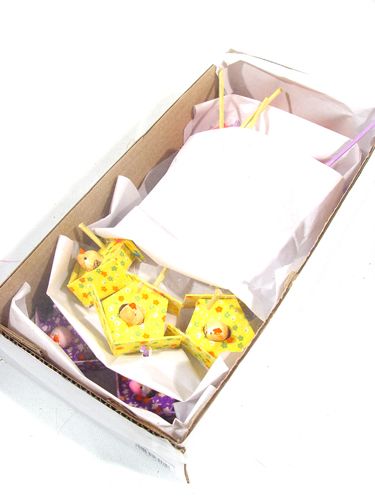 Floristik24 Casetta per uccelli con plettro 3 cm 12 pezzi