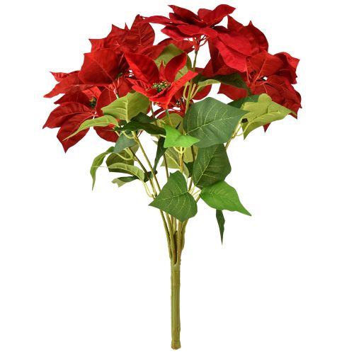 Prodotto Stella di Natale artificiale Stella di Natale rossa verde L57 cm