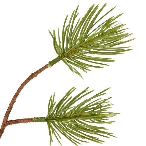 Prodotto Rami di Natale Rami di pino artificiale L54cm 3 pz