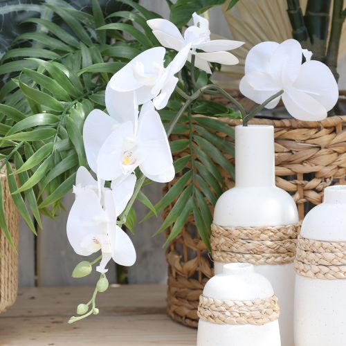 Prodotto Orchidea bianca artificiale Phalaenopsis Real Touch H83cm