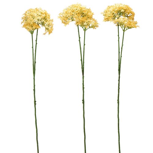Prodotto Cipolla ornamentale Allium selvatico artificiale Giallo 70cm 3 pz