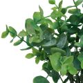 Floristik24 Rami di eucalipto artificiali piante artificiali verde 34 cm 6 pezzi