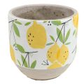 Floristik24 Fioriera in ceramica limone vaso da fiori decorativo estivo H17cm