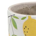 Floristik24 Fioriera in ceramica limone vaso da fiori decorativo estivo H17cm