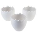 Floristik24 Vaso da fiori fioriera in ceramica bianco d&#39;uovo Ø11,5 cm H11,5 cm 3 pezzi