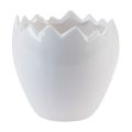 Floristik24 Vaso da fiori fioriera in ceramica bianco d&#39;uovo Ø11,5 cm H11,5 cm 3 pezzi