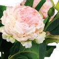 Floristik24 Rose artificiali Rose artificiali rosa Aspetto secco 53 cm 3 pezzi
