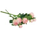 Floristik24 Rose artificiali Rose artificiali rosa Aspetto secco 53 cm 3 pezzi