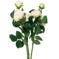 Floristik24 Rose artificiali Crema Rose artificiali Aspetto secco 53 cm 3 pezzi