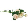 Floristik24 Rose artificiali Crema Rose artificiali Aspetto secco 53 cm 3 pezzi