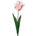 Floristik24 Fiore artificiale tulipano pappagallo tulipano artificiale rosa 69 cm