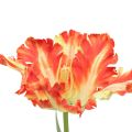 Floristik24 Fiore artificiale tulipano pappagallo tulipano artificiale arancione 69 cm