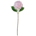 Floristik24 Ortensia artificiale rosa chiaro fiore artificiale rosa Ø15,5 cm 45 cm