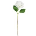 Floristik24 Ortensia decorativa artificiale ortensia palla di neve bianca 65 cm
