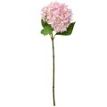 Floristik24 Fiore artificiale da giardino artificiale rosa chiaro di ortensia 65 cm