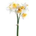 Floristik24 Narcisi artificiali Fiori di seta bianchi Narcisi 40 cm 3 pezzi