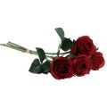 Floristik24 Rose Artificiali Rosse Rose Artificiali Fiori Di Seta Rossi 50cm 4pz