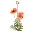 Floristik24 Fiori artificiali fiori di seta decorazione papaveri 75 cm