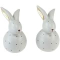 Floristik24 Figure decorative coniglietto pasquale conigli con motivo a pois 17 cm 2 pezzi