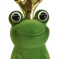 Floristik24 Rana decorativa, principe ranocchio, decorazione primaverile, rana con corona d&#39;oro verde 40,5 cm