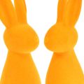 Floristik24 Coniglietti pasquali coniglietti decorativi floccati arancioni 8x10x29cm 2pz