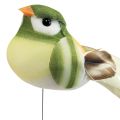 Floristik24 Piuma di uccello su filo di uccello decorativo con piume verde arancione 4 cm 12 pezzi