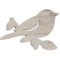 Floristik24 Decorazione sparsa in legno decorazione uccello primaverile bianco naturale 4 cm 72 pezzi