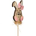 Floristik24 Spina fiore in legno Spina pasquale coniglietto con occhiali 8,5 cm 12 pezzi