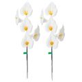 Calla artificiale con stami gialli, fiori decorativi, 35 cm, 10 pezzi | Floristik24.it