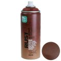 Floristik24 Spray effetto ruggine Spray effetto ruggine Spray interno ed esterno marrone 400 ml